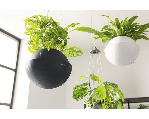 Závěsné květináče s různými rostlinami