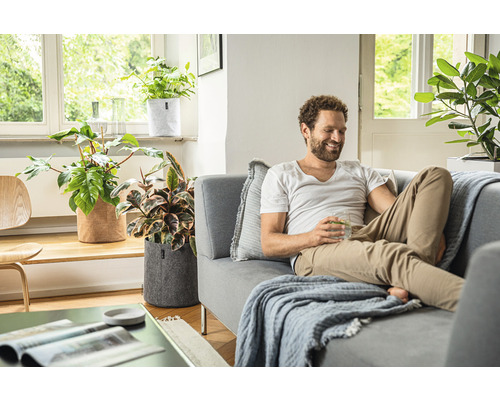 Obývací pokoj s mužem na gauči a rostlinami v plstěných květináčích