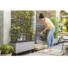 Žena zalévá jabloně v truhlíku na terase