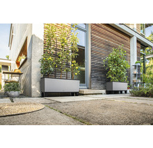 Scéna se dvěma šedými truhlíky s mřížemi před domem.