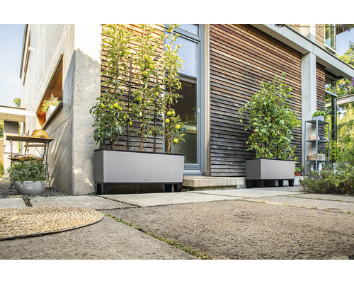 Scéna se dvěma šedými truhlíky s mřížemi před domem.