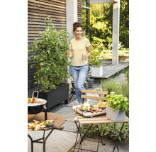 Zahradní scéna se ženou, grilem, zahradním nábytkem a vyvýšeným záhonem s rostlinami rajčat.