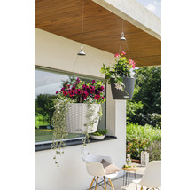 Scéna se dvěma závěsnými květináči s květinami venku