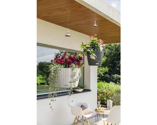 Scéna se dvěma závěsnými květináči s květinami venku