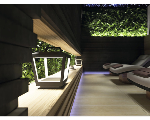 Wellness zóna s lehátky, rostlinnou stěnou a dekorativní lucernou