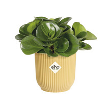 Obal na květináč plastový elho Vibes Ø7 x 6,5 cm žlutý