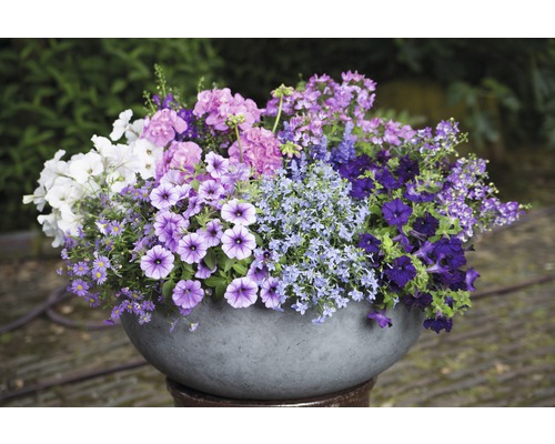 Květinové aranžmá v kulatém květináči