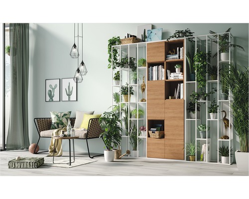 Obývací pokoj s regálem, pohovkou a pokojovými rostlinami