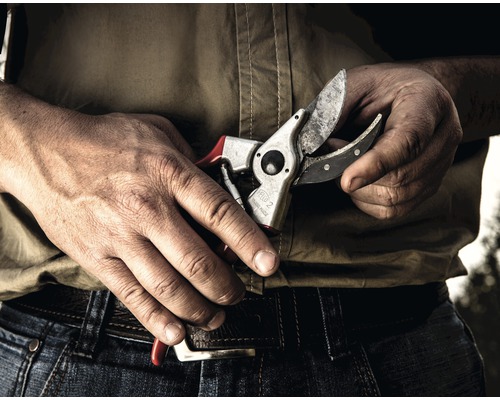 Osoba drží v rukou zahradní nůžky.