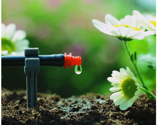 Kropicí systém v provozu s kapkami vody a rostlinami