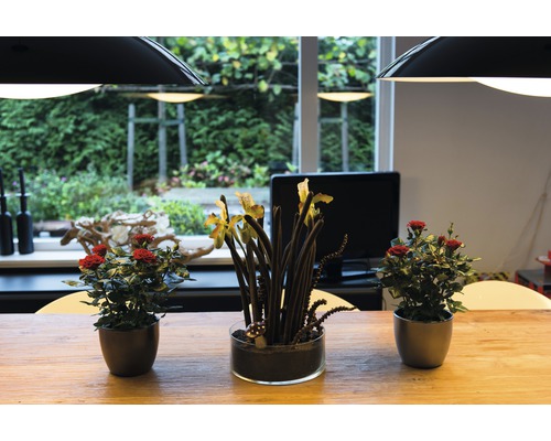 Dekorativní aranžmá na stole s růžemi a orchidejemi