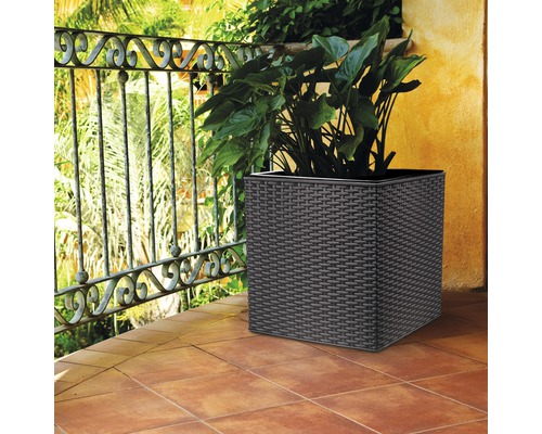 Dekorativní květináč s rostlinami na terase.