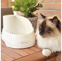 Bílý automat na krmivo pro kočky vedle spící kočky a hrnkové rostliny, logo Ferplast