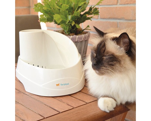 Bílý automat na krmivo pro kočky vedle spící kočky a hrnkové rostliny, logo Ferplast