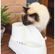 Kočka pije z bílé fontány pro kočky