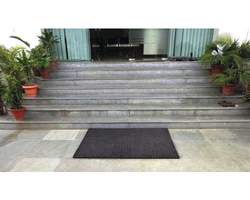 Vstupní prostor se schodištěm, rostlinami a rohožkou