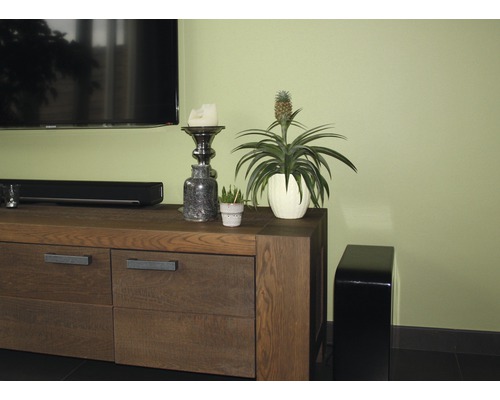 Obývací pokoj se skříňkou pod televizi, pokojovou rostlinou a dekorací