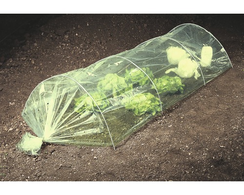 Malý skleník nad sazenicemi salátu na zahradě