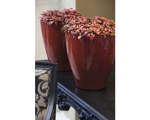 Dva květináče s rostlinami na stole