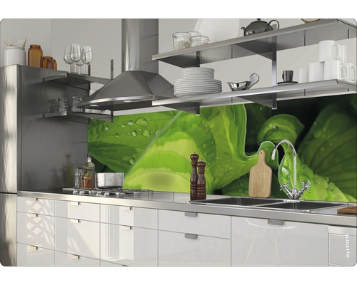 Kuchyňská scéna s dřezem, varnou deskou, digestoří a kuchyňskou zástěnou s motivem rostlin