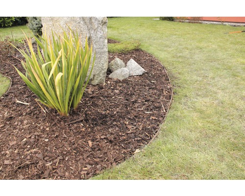 Zahradní scéna s mulčovací kůrou, trávníkem a rostlinami pro zahradní design