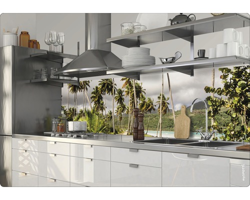 Kuchyňská scéna s umyvadlem, varnou deskou a kuchyňským panelem s motivem palem