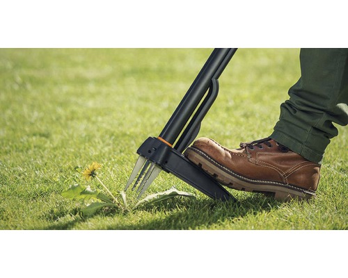 Osoba používá v zahradě nástroj na odstraňování plevele k odstranění pampelišek.