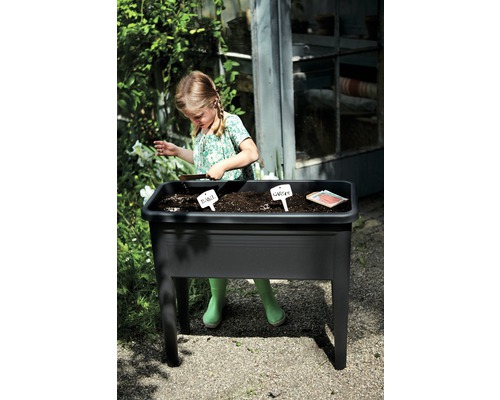 Dívka zahradničí v černém vyvýšeném záhonu na zahradě a sází bazalku a mrkev.