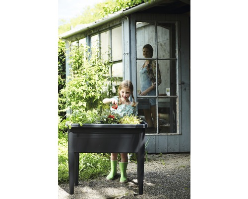 Dívka sklízí rajčata z vyvýšeného záhonu před zahradním domkem.