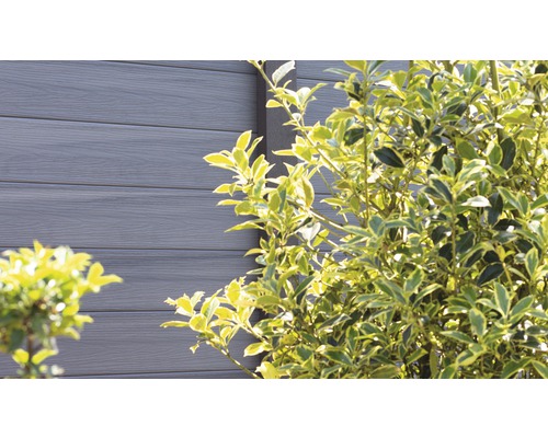 WPC plot s keřem na zahradě