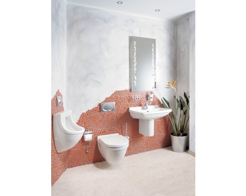 Koupelna s pisoárem, toaletou, umyvadlem, zrcadlem a rostlinou