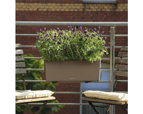 Květináč s levandulí na balkonovém zábradlí se židlemi