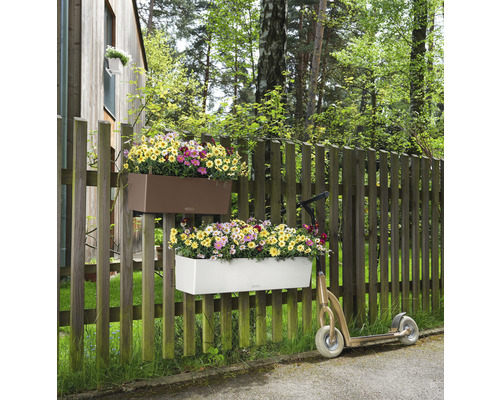 Dva květináče s barevnými květy visí na dřevěném plotě vedle koloběžky.