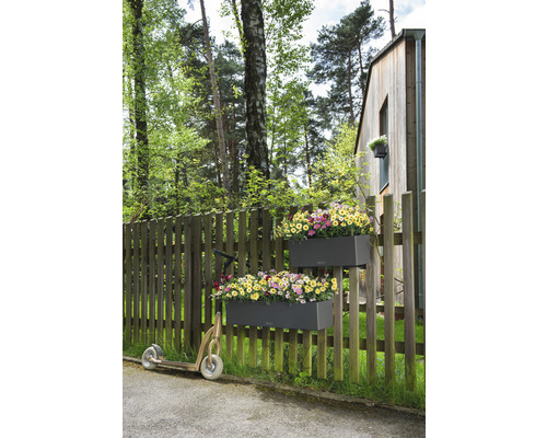 Scéna s truhlíky na plotě a koloběžkou na zahradě