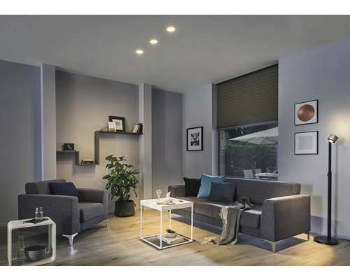 Obývací pokoj s pohovkou, křeslem, pokojovou rostlinou a stropními svítidly