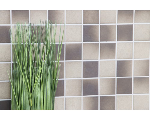 Ozdobné zelené trávy před stěnou z keramických mozaikových dlaždic