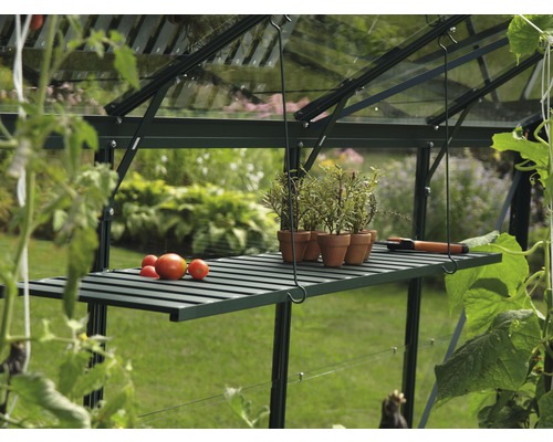 Interiér skleníku s policí, rostlinami a rajčaty