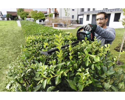 Muž stříhá živý plot nůžkami na živý plot na zahradě.