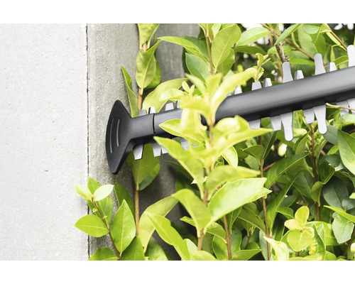 Nůžky na živý plot v akci na živém plotu