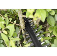 Detailní záběr nůžek na živý plot stříhajících živý plot.