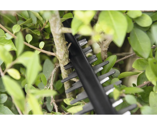 Detailní záběr nůžek na živý plot stříhajících živý plot.