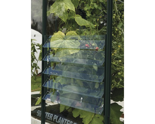 Okno Vitavia lamelové skleněné 3 mm 45 x 61 cm zelené