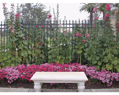 Zahradní krajina s lavičkou, květinami a plotem