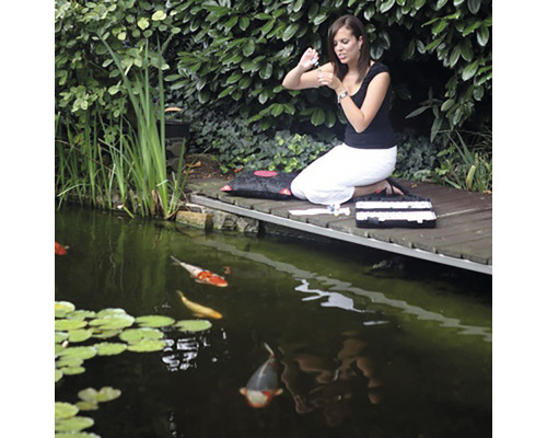 Žena léčí kapry koi v rybníku pomocí léků