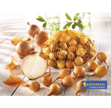 Cibule a sazečka v síťce na dřevěném stole