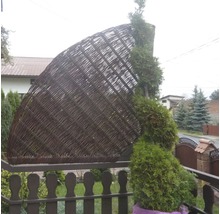 Půlkruhový zástěna z proutí vedle zeravu na zahradě.