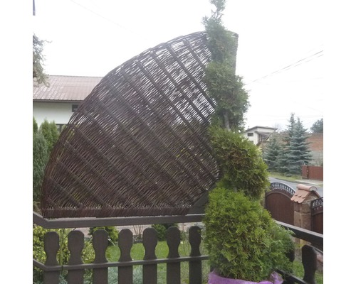 Půlkruhový zástěna z proutí vedle zeravu na zahradě.