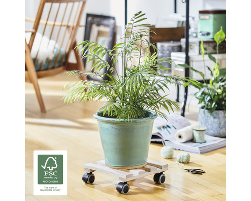 Pokojová rostlina v květináči na podstavci s kolečky a pečetí FSC