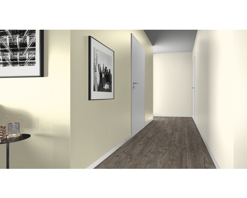 Chodba s dveřmi, obrazy a laminátovou podlahou