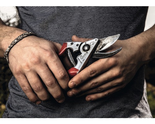 Detailní záběr ruky s nůžkami na větve Felco 8